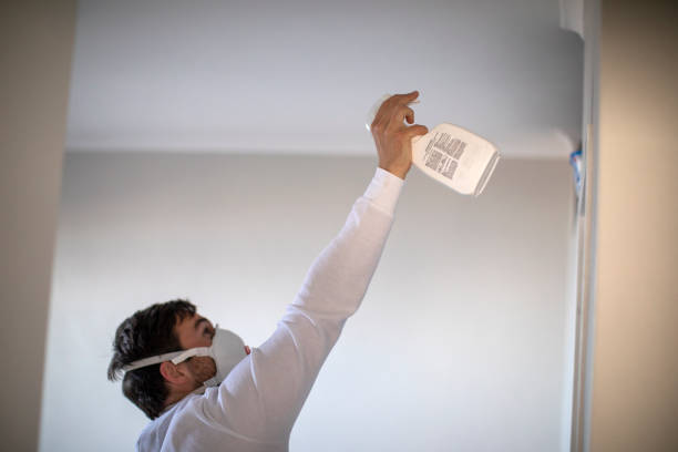 Best Home Mold Removal  in Deerfield, WI