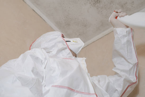 Best Mold Inspection  in Deerfield, WI