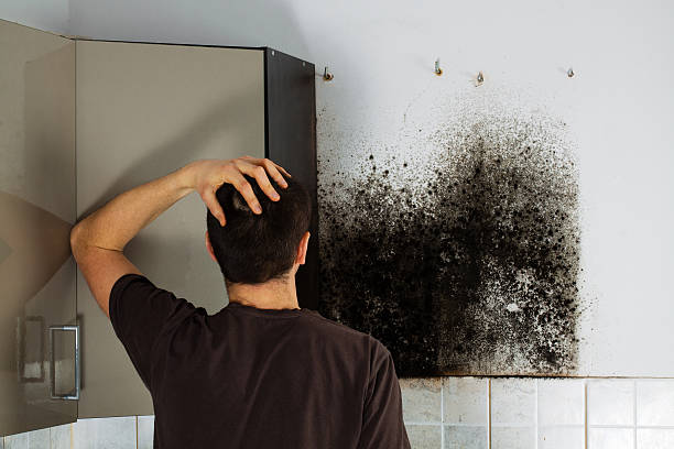 Best Professional Mold Removal  in Deerfield, WI